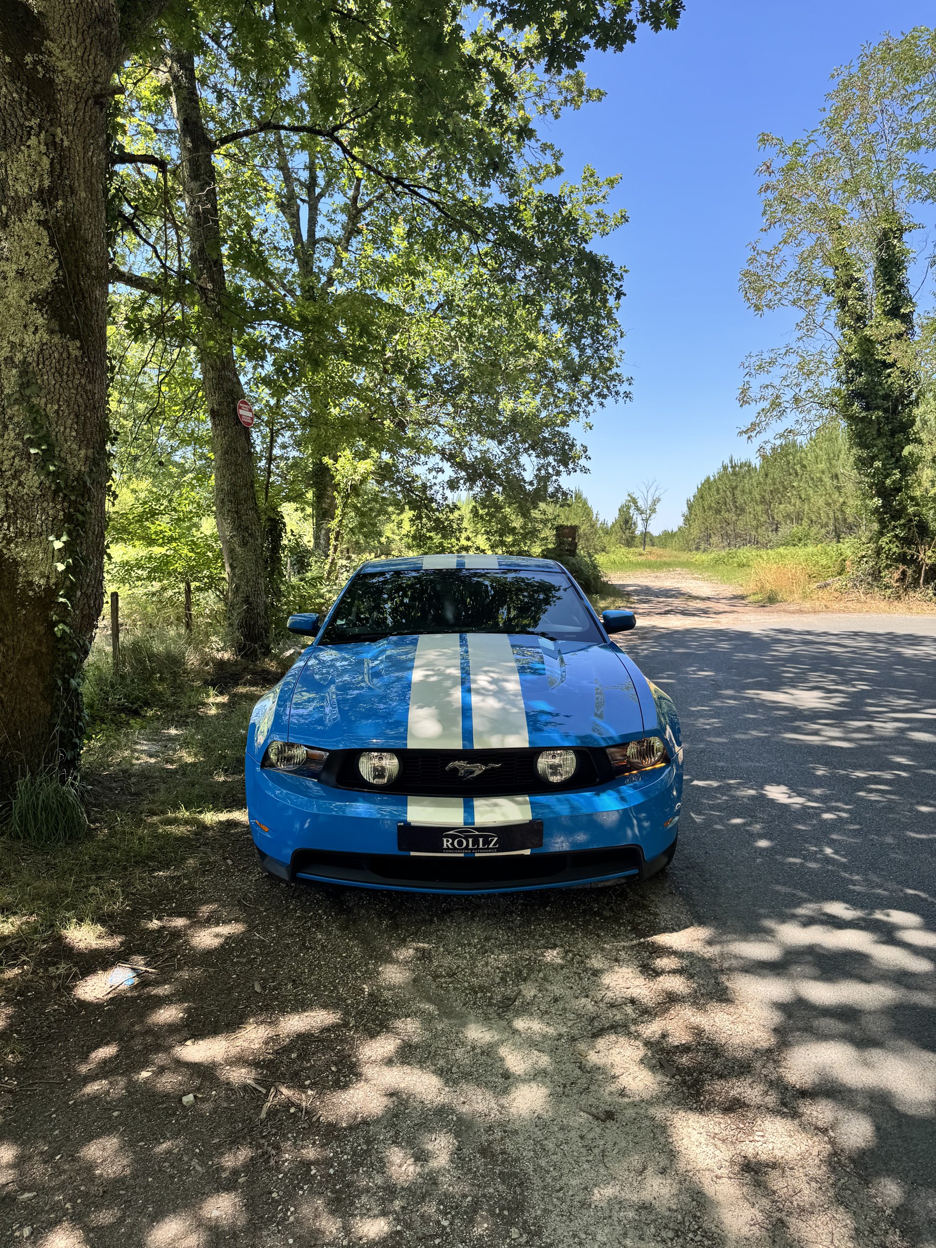 05 – Mustang GT – sous les arbres