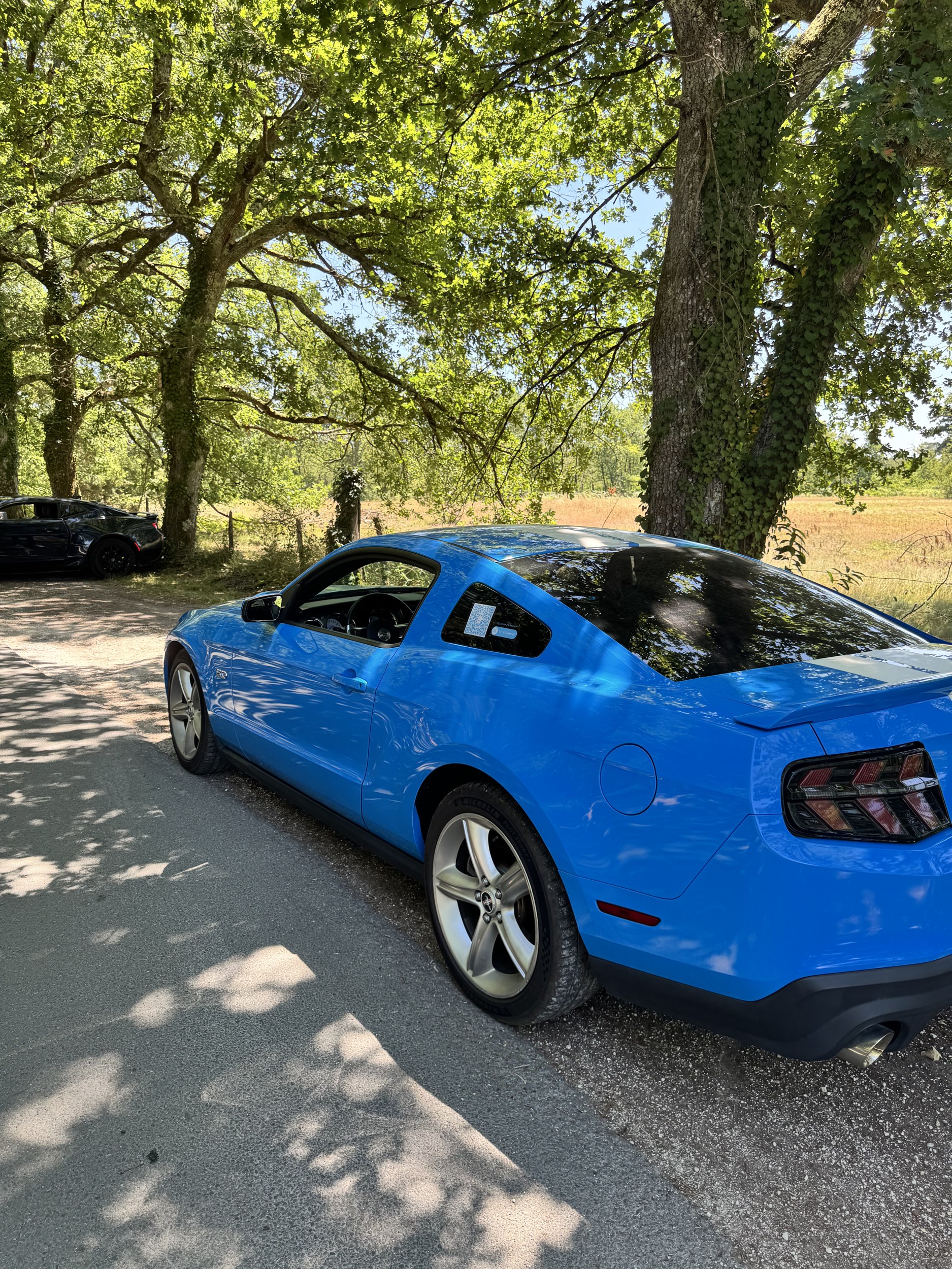 06 – Mustang GT – profil
