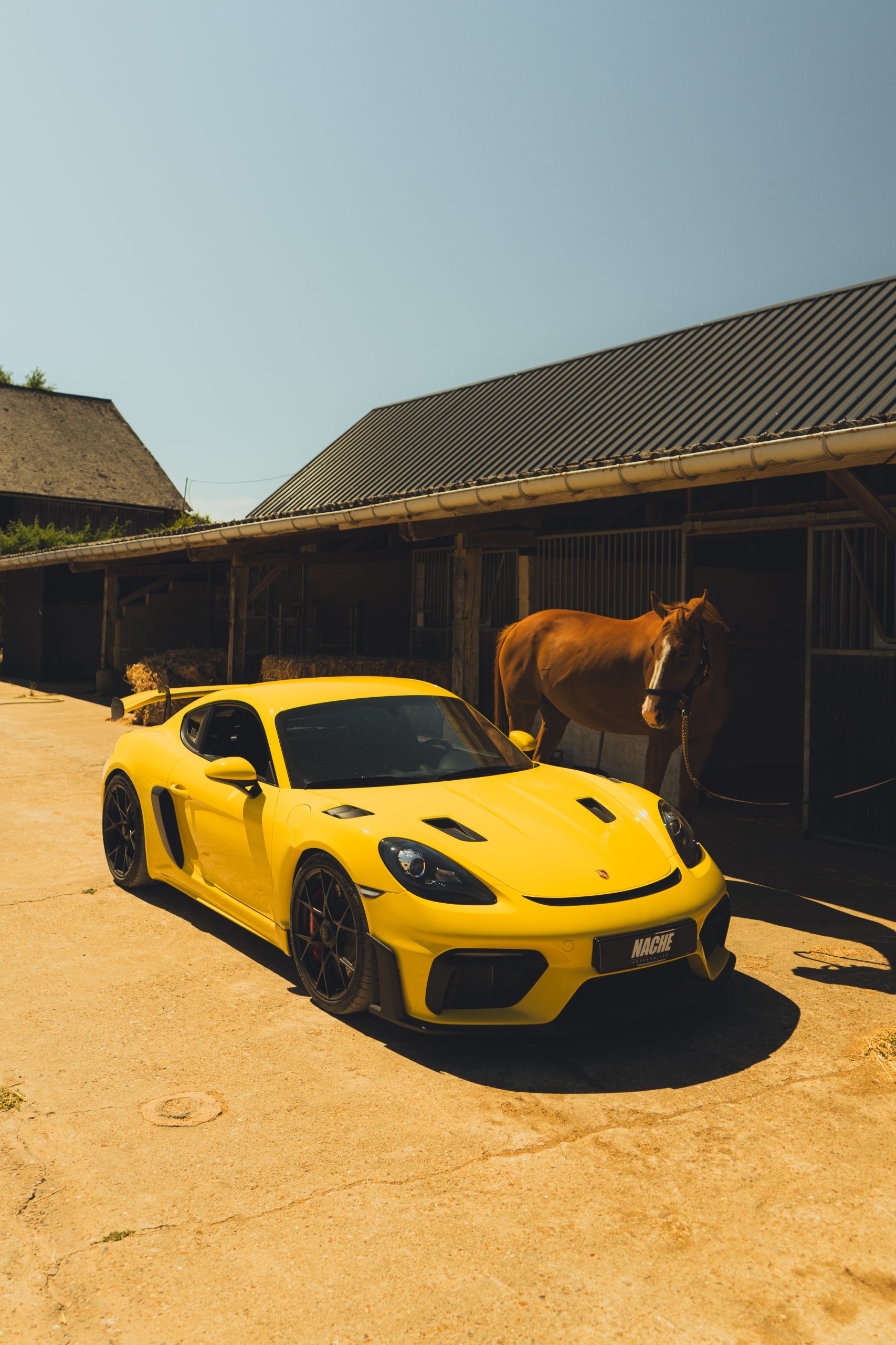 _DSC9257-2 copie