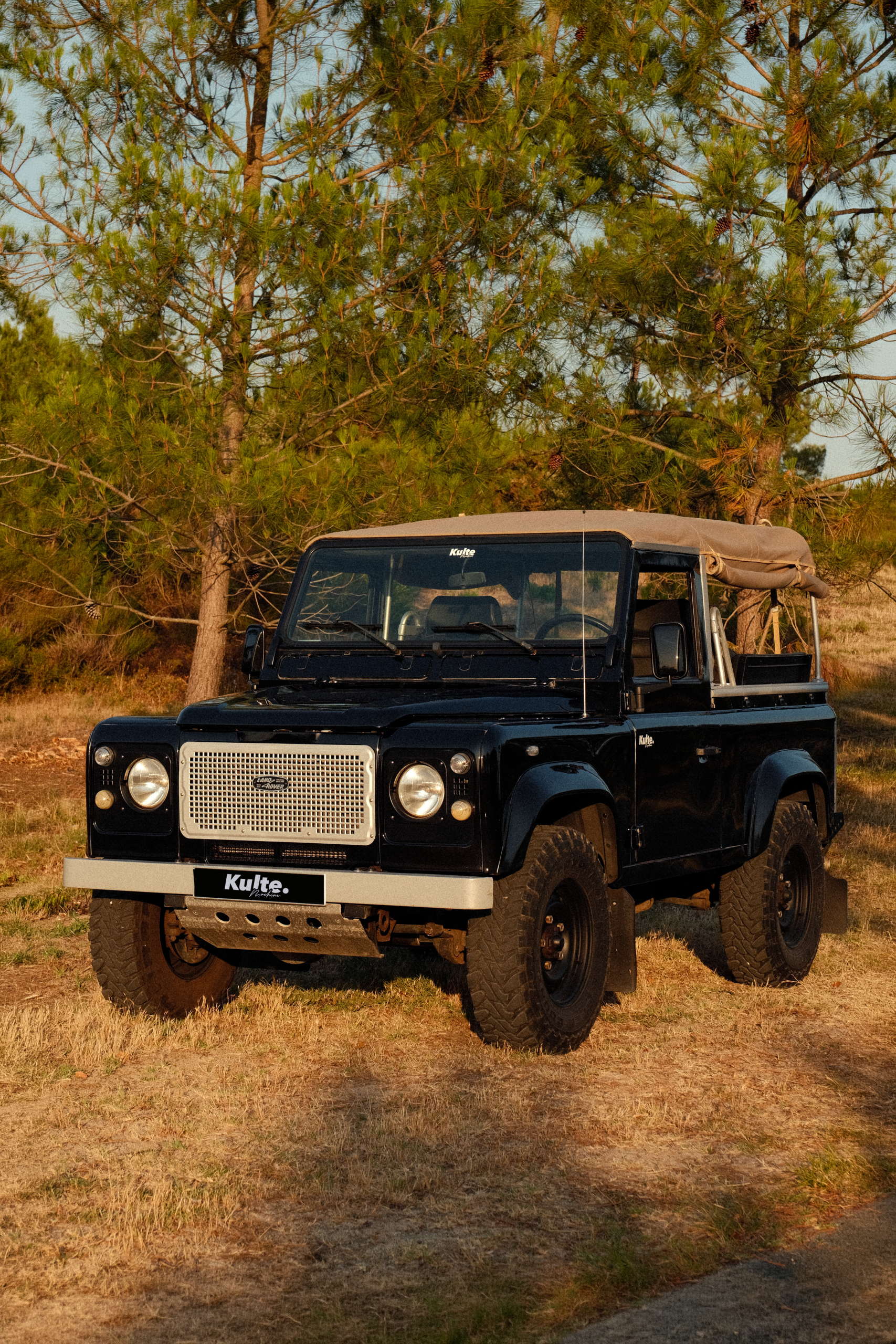 NSCF2079